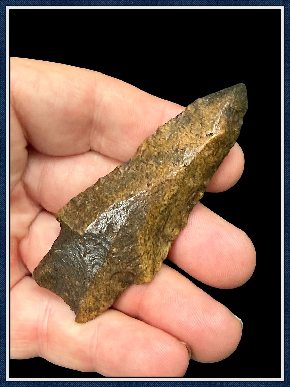 ~ Classic ~ Suwannee Co. Fl. ~ 3 1/8" Hamilton Point ~