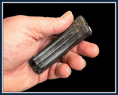 ~ Ice Age Fossil ~  Large Pristine Horse Tooth ~ # 4