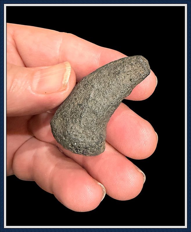 Fossilized Ice Age ~  Giant Tortoise Fighting Spur, Claw