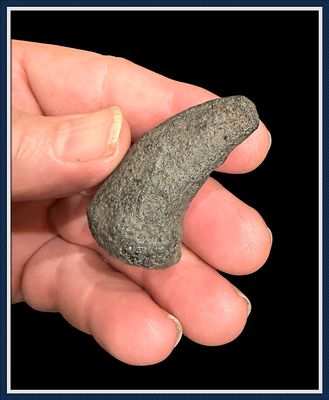 Fossilized Ice Age ~  Giant Tortoise Fighting Spur, Claw