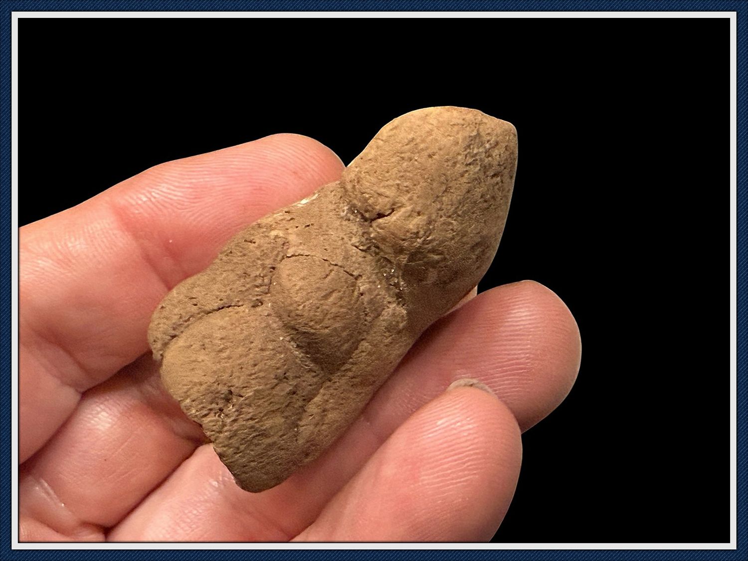 ~  Alligator Coprolite ~ Fossilized Dung ~ Ice Age Poop