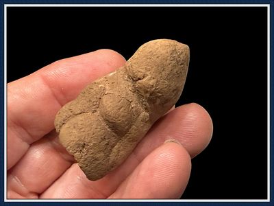~  Alligator Coprolite ~ Fossilized Dung ~ Ice Age Poop