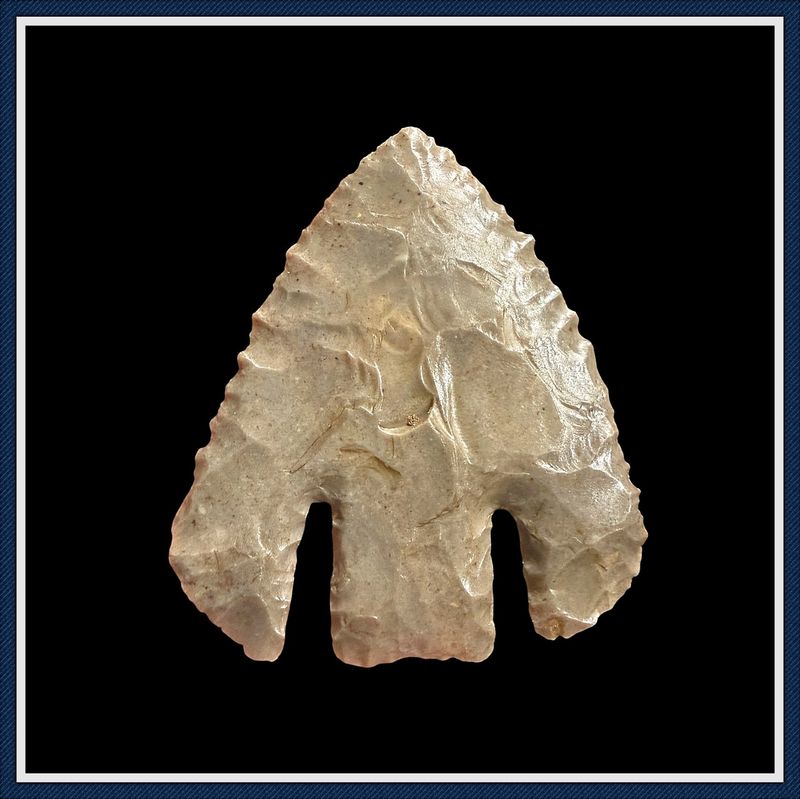 ~ Complete Deep Notched ~ Calf Creek ~ Arkansas ~ SOLD