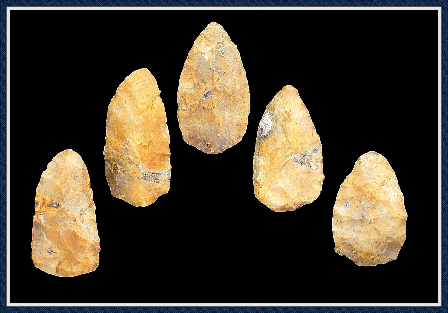 ~  Cache of 5 Archaic Preforms ~ Pasco Co. Florida ~ SOLD