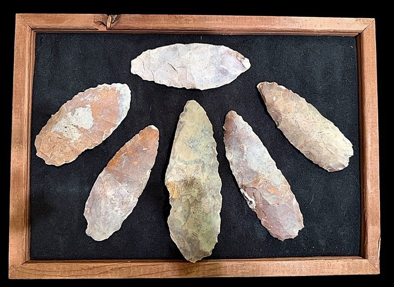 ~  Cache of 6 Killed Archaic Thonotosassa Blades  ~ Hillsborough Co. Florida ~