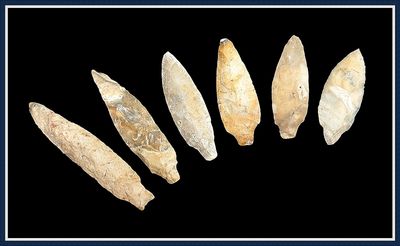 ~  Cache of 6 Archaic Thonotosassa Points  ~ Hillsborough Co. Florida ~