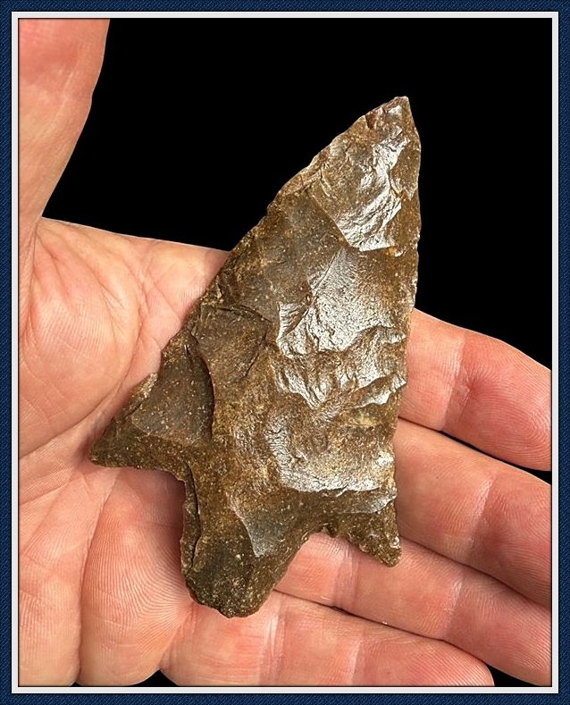 ~ Hillsborough Co. Florida ~  Rocket Newnan Point ~