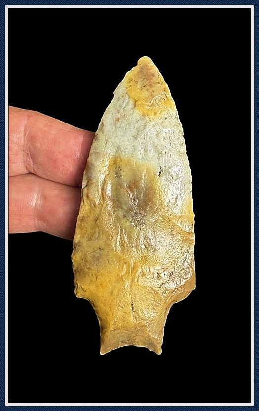 ~ Gold and Cream ~ Savannah River / Hamilton Point ~ ON HOLD