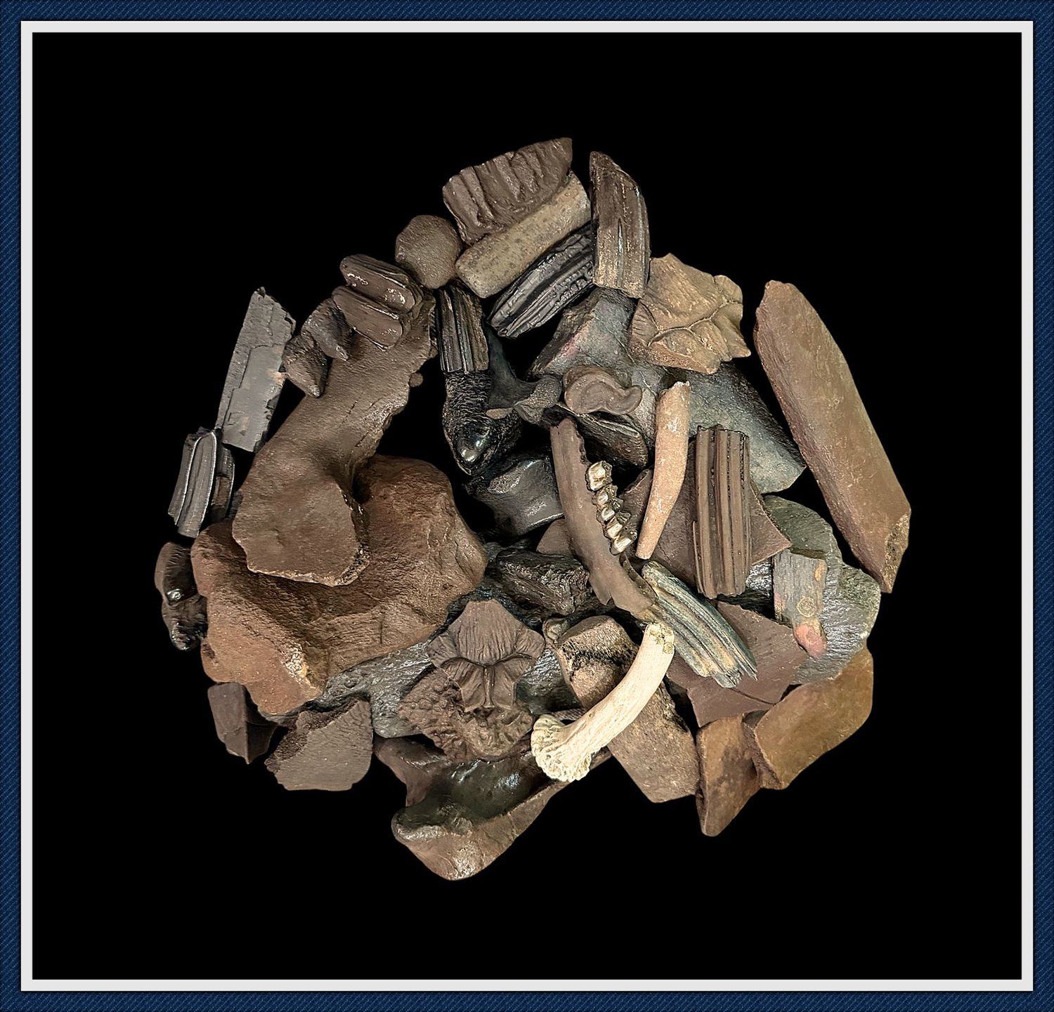 ~ Ice Age Fossil Pile ~ 1