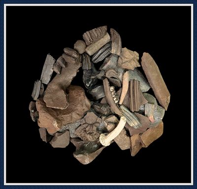 ~ Ice Age Fossil Pile ~ 1
