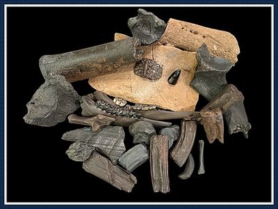 ~ Ice Age Fossil Pile ~ 2