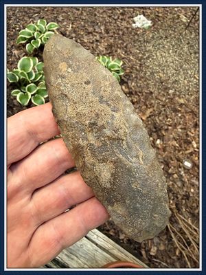 ~ Beautiful 5” ~ Quarzite Ramey Knife ~  Tom Davis C.O.A.  ~