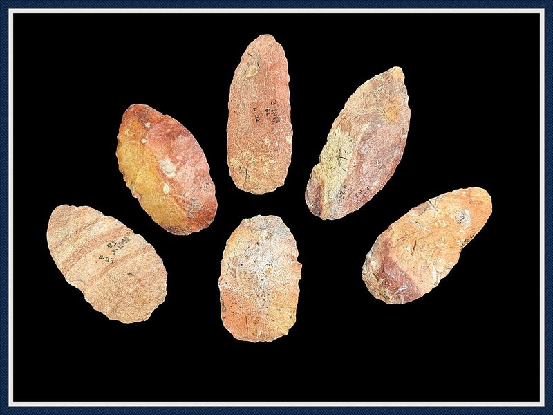 ~  Cache of 6 Archaic Preforms ~ Marion Co. Florida ~ SOLD