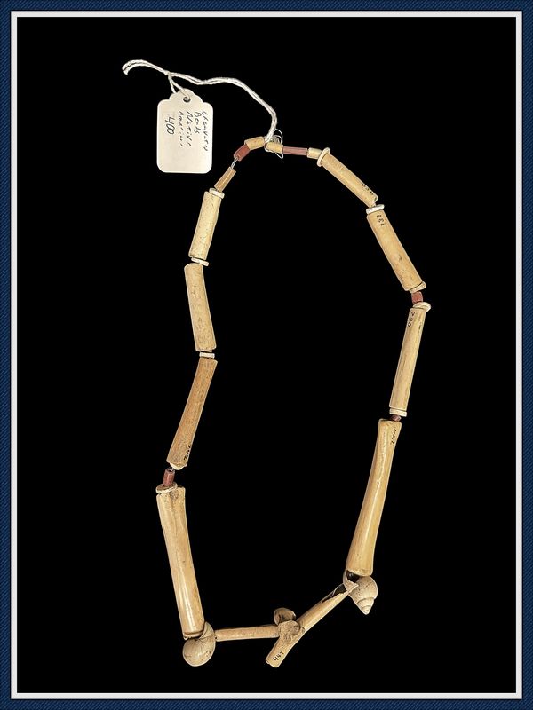 ​~ 25" Strand of Early Woodland ~ Bird Bone Beads ~ Western Kentucky ~