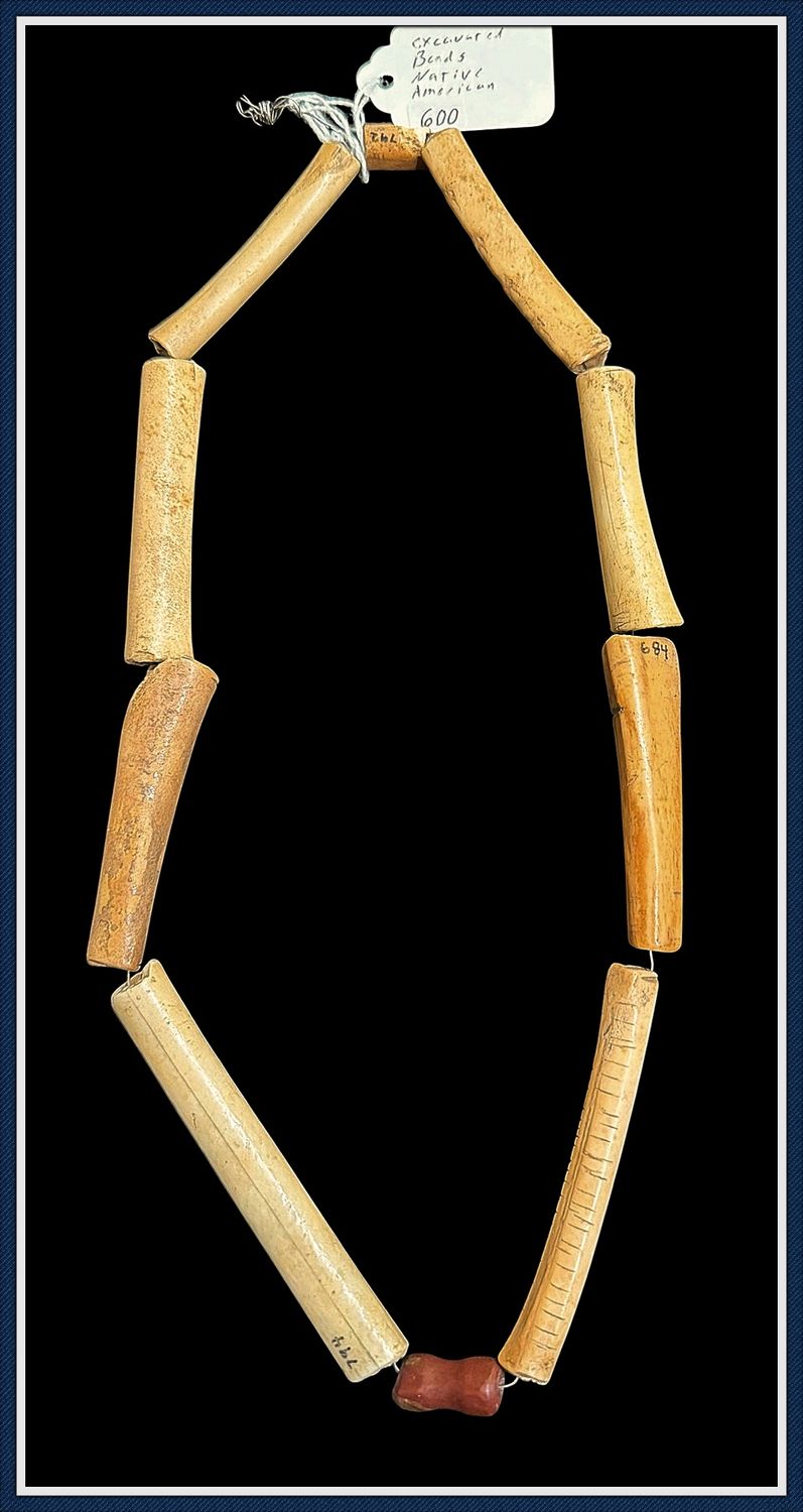 ​~ 24" Strand of Early Woodland ~ Bird Bone Beads ~ Western Kentucky ~