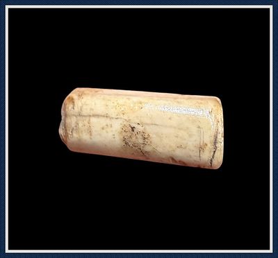 ​~ Woodland ~ Bone Beads ~ South West Florida ~