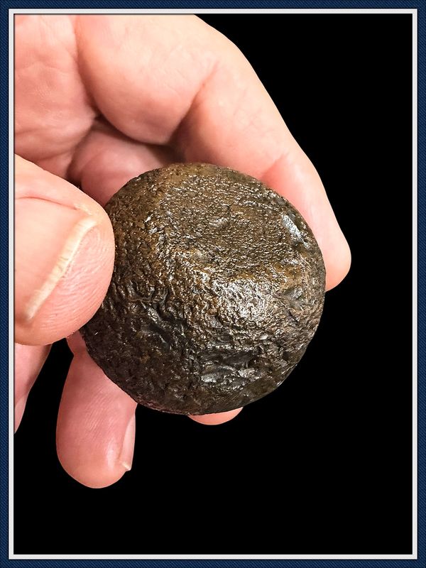 ~ Coral Bolo / Egg Stone ~ Hamilton Co. Florida ~