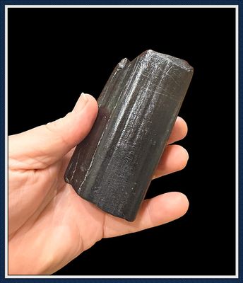 ~ Sarasota Co. Florida ~ Eremotherium Giant Ground Sloth Tooth  ~ Off the Coast of Venice Beach