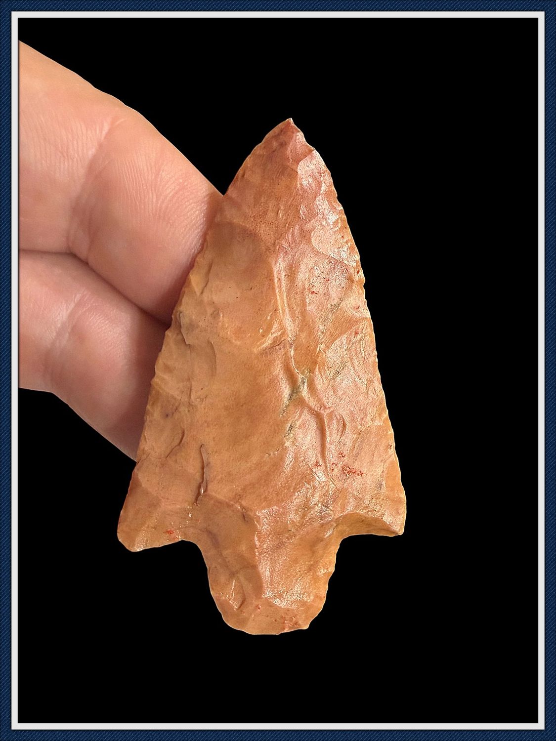 ~ Orange Coral ~ Newnan Point ~
