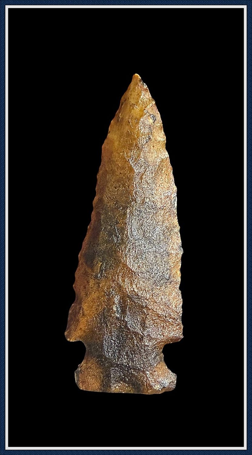 ~ Translucent Gold &amp; Black Coral ~ Big Sandy Point ~
