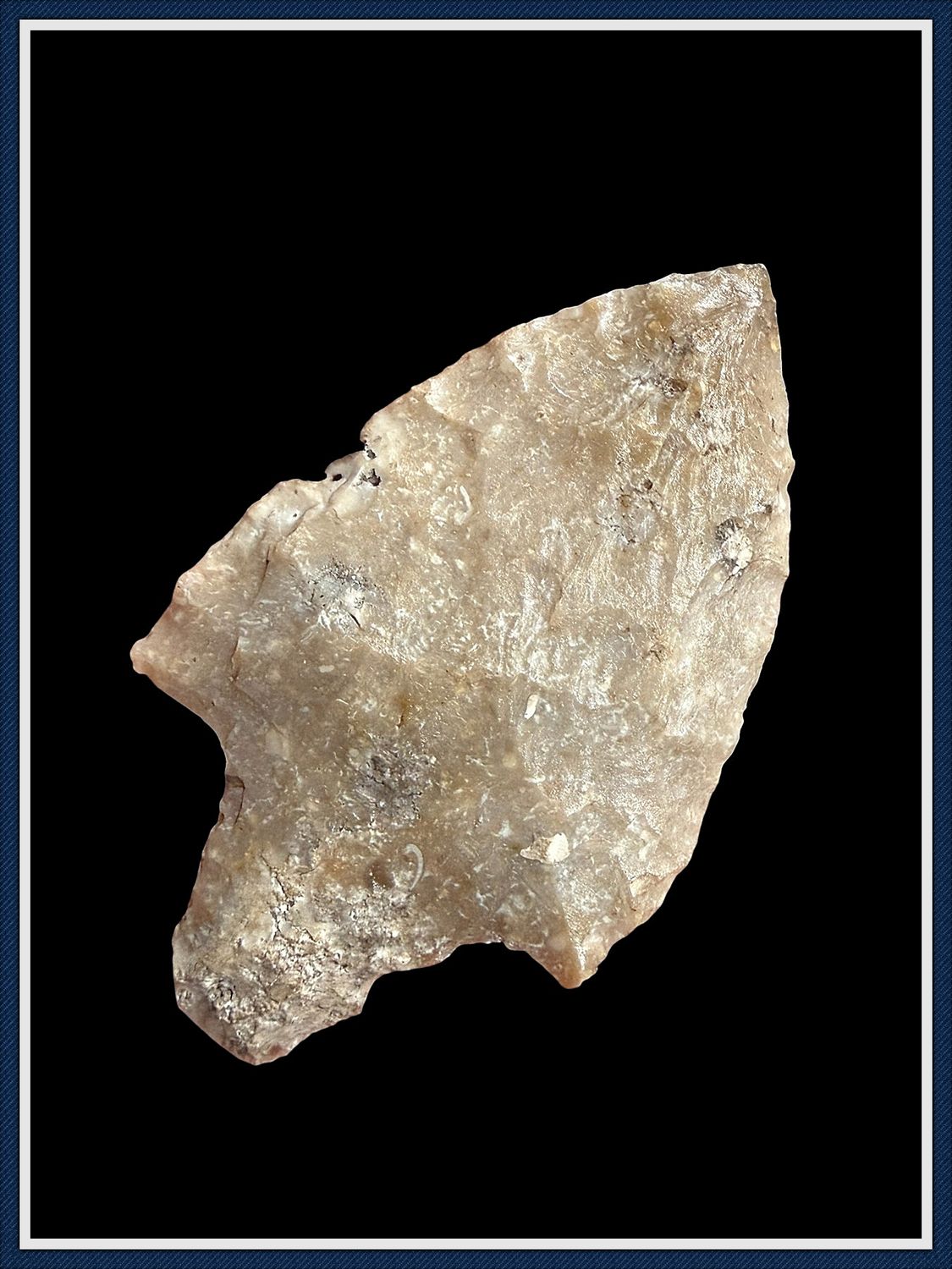 ~ Cream Colored ~ Marion Point ~