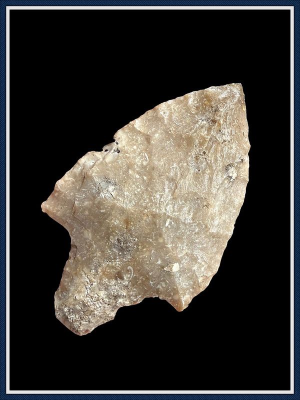 ~ Cream Colored ~ Marion Point ~