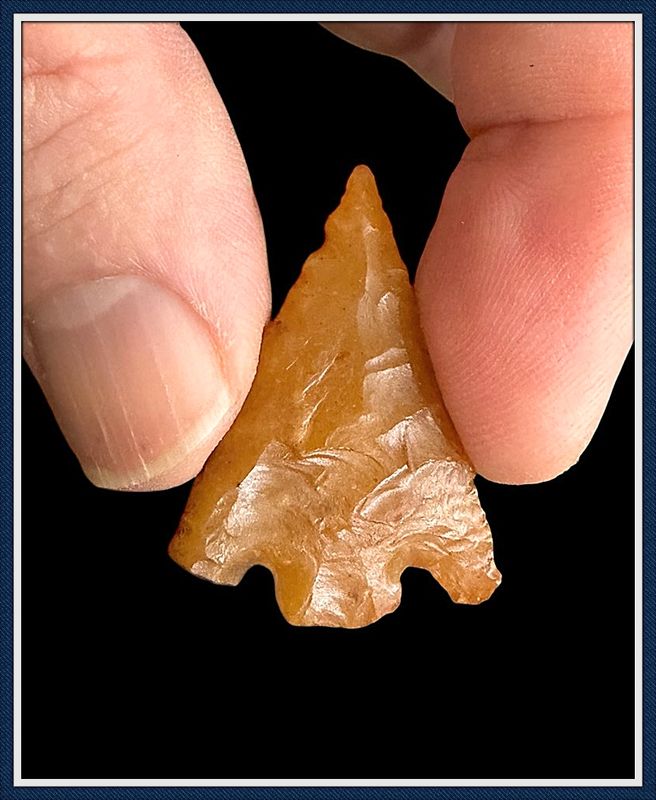 ~ South Georgia ~ Translucent Amber ~ Hernando Point ~