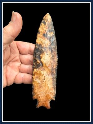 ~ Spectacular Grade 10 / 7" Buzzard Roost ~ Benton Culture Point ~ SOLD