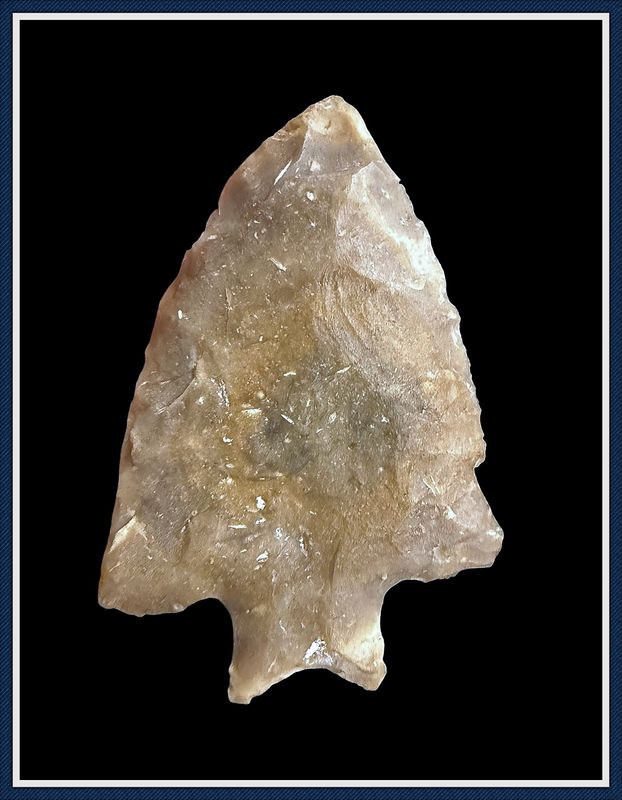 ~ Near 1st Stage ~ Seminole Blade ~