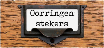 Oorringen zilver - stekers