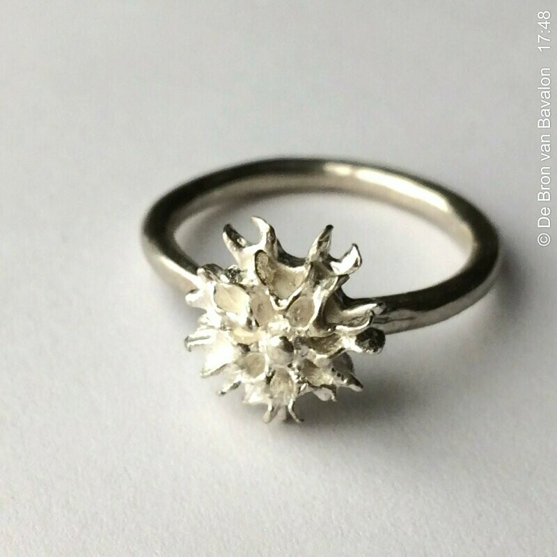 Ring in massief zilver - Les Deux (België)