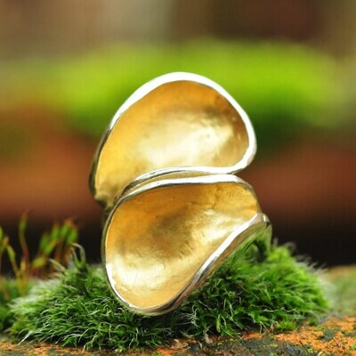 Ring in massief zilver deels verguld - Ralf De Burchgrave - Belgie