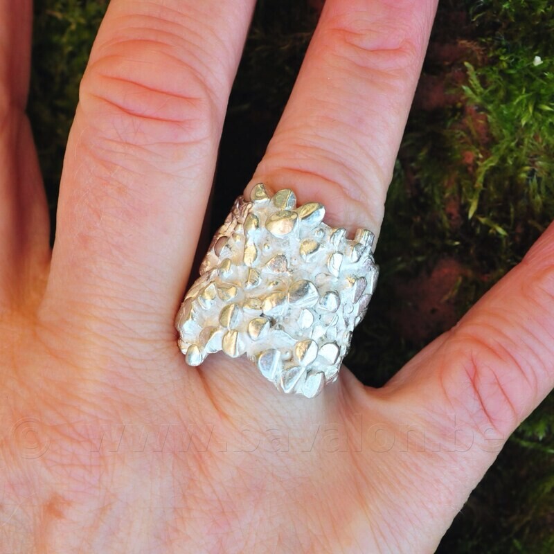 Ring in massief zilver - Ralf De Burchgrave (België)