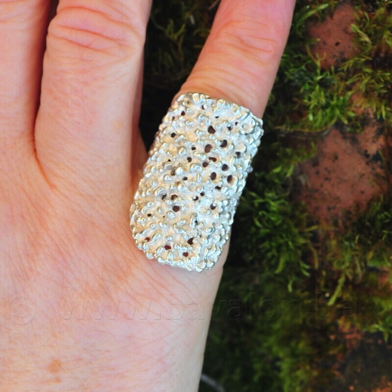 Ring in massief zilver - Ralf De Burchgrave (België)