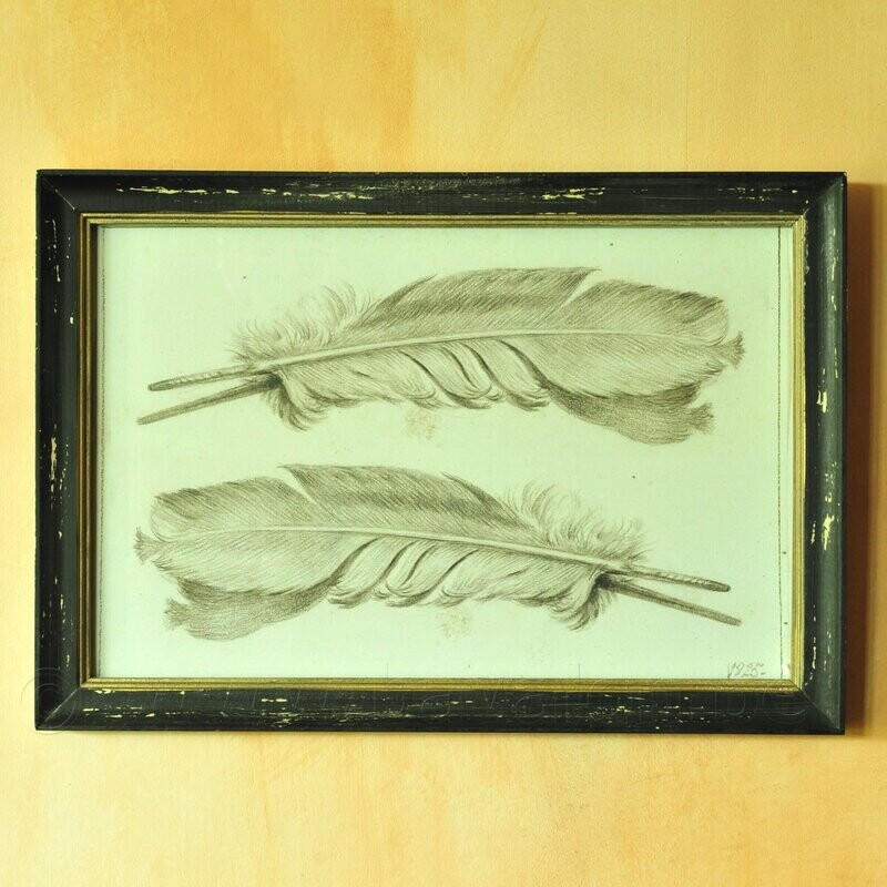 Veren vintage-look illustratie in houten lijst