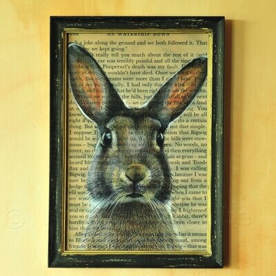 Haas op tekst fragment vintage-look illustratie in houten lijst