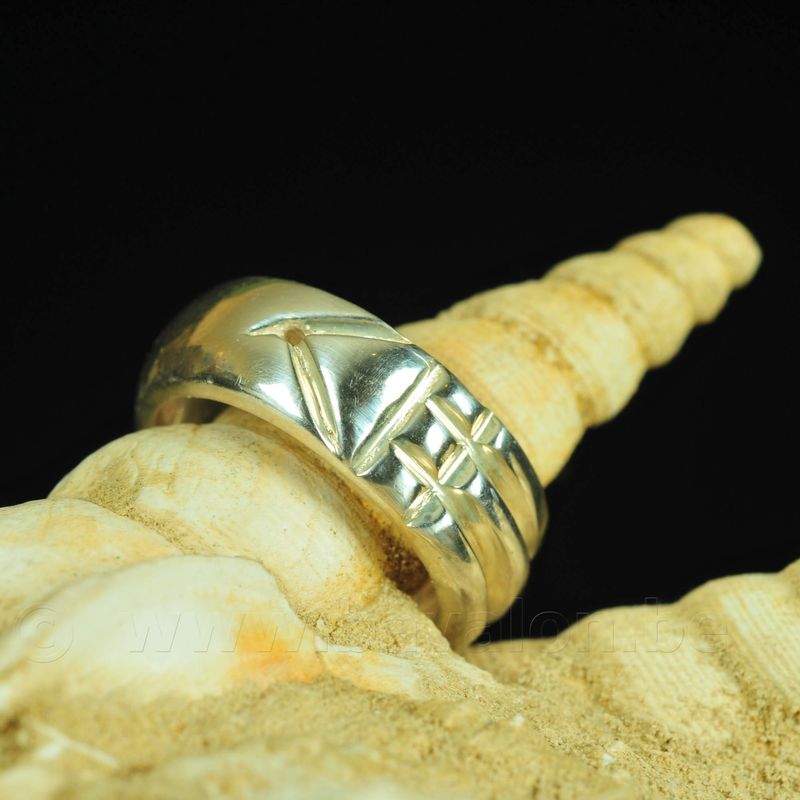 Atlantisring &#39;Howard Carter&#39; in puur .9999+ zilver - Maat 53,5