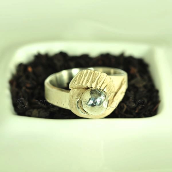 Ring in massief zilver - UNICA - Alex Fabry (België) - Maat57