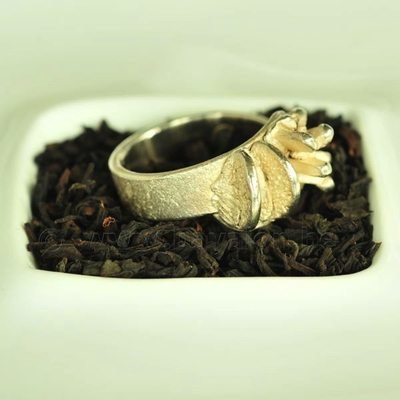 Ring in massief zilver - UNICA - Alex Fabry (België) - Maat56