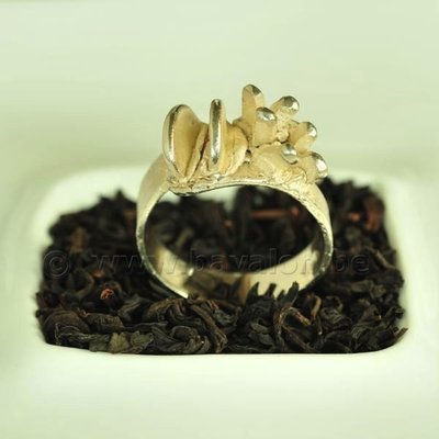 Ring in massief zilver - UNICA - Alex Fabry (België) - Maat56