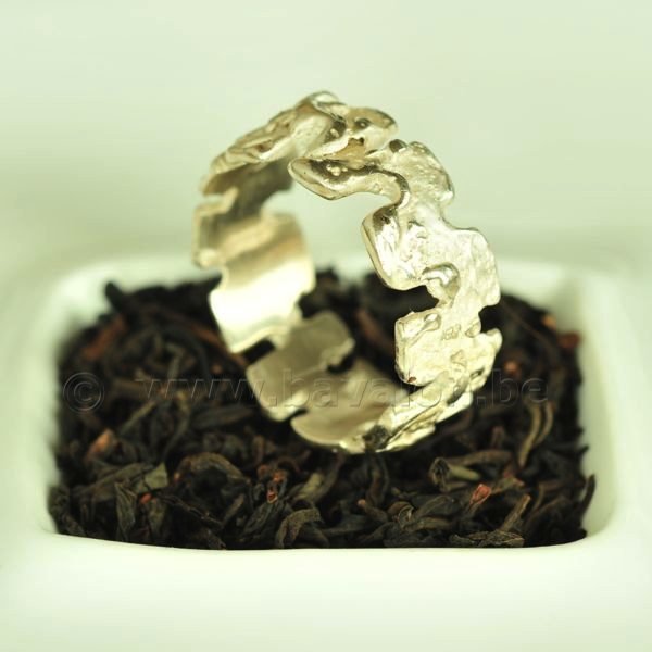 Ring in massief zilver - UNICA - Alex Fabry (België) - Maat60