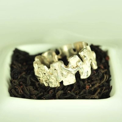 Ring in massief zilver - UNICA - Alex Fabry (België) - Maat60