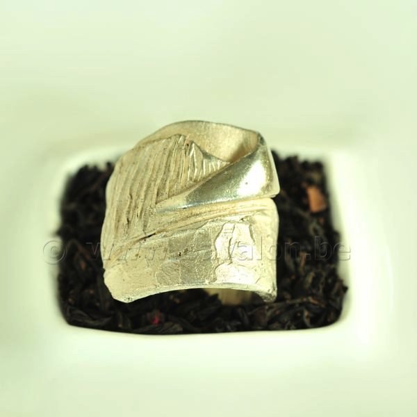 Ring in massief zilver - UNICA - Alex Fabry (België) - Maat57,5