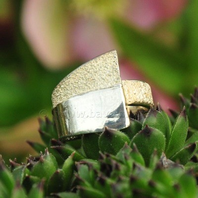 Ring in massief zilver - UNICA - Alex Fabry (België)