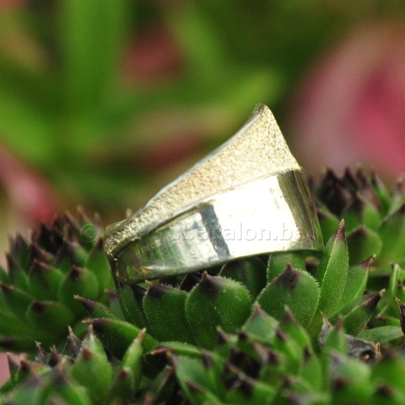 Ring in massief zilver - UNICA - Alex Fabry (België)