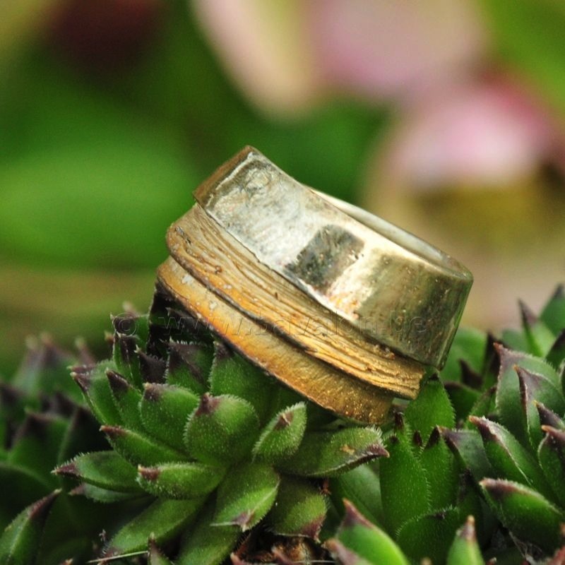 Ring in massief zilver - UNICA - Alex Fabry (België)