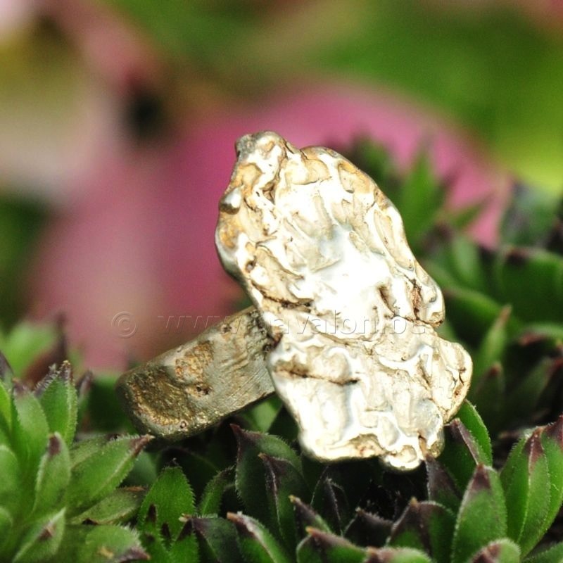 Ring in massief zilver - UNICA - Alex Fabry (België)
