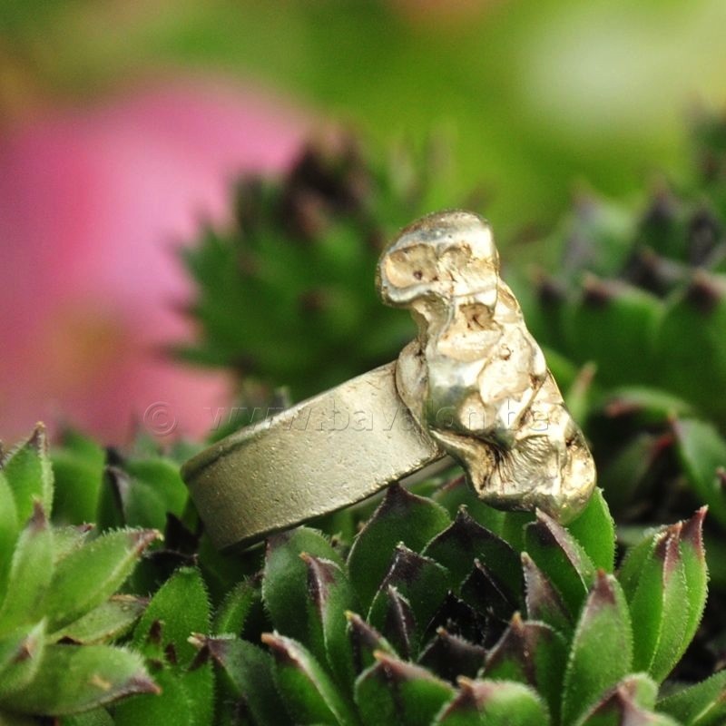 Ring in massief zilver - UNICA - Alex Fabry (België) - Maat55,5