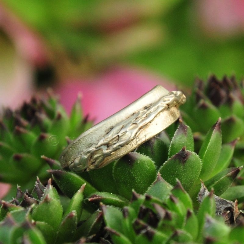 Ring in massief zilver - UNICA - Alex Fabry (België) - Maat58
