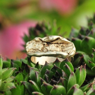 Ring in massief zilver - UNICA - Alex Fabry (België) - Maat57